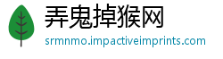 弄鬼掉猴网